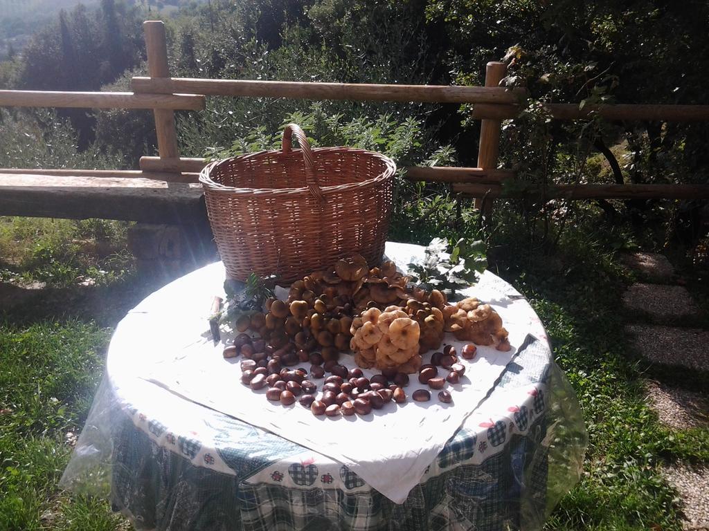 Bed And Breakfast Al Posto Bello Perugia Exterior foto